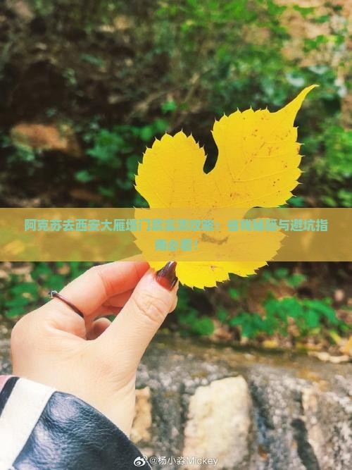 阿克苏去西安大雁塔门票