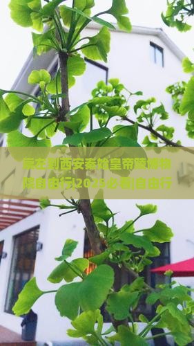 崇左到西安秦始皇帝陵博物院自由行