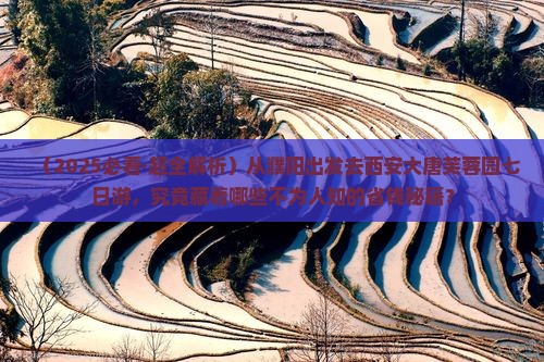 濮阳到西安大唐芙蓉园七日游
