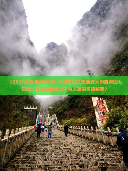 濮阳到西安大唐芙蓉园七日游
