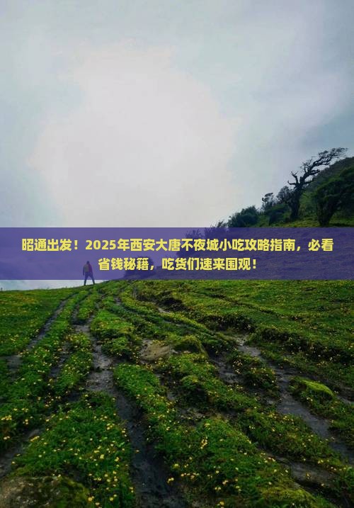 昭通去西安大唐不夜城旅游小吃 昭通去西安大唐不夜城旅游小吃