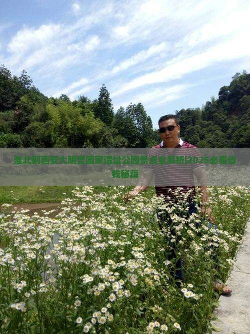 淮北到西安大明宫国家遗址公园景点