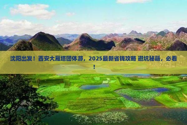 沈阳去西安大雁塔团体旅游