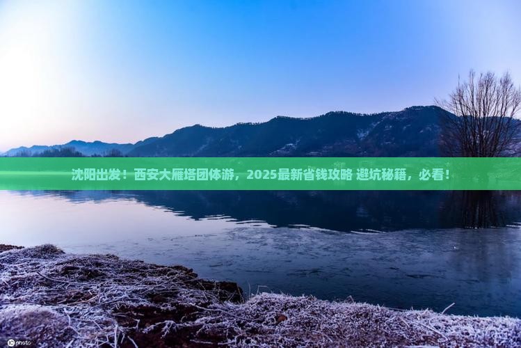 沈阳去西安大雁塔团体旅游