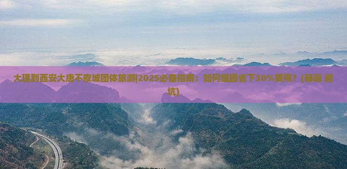 大理到西安大唐不夜城团体旅游