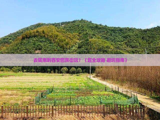 陇南到西安回民街门票