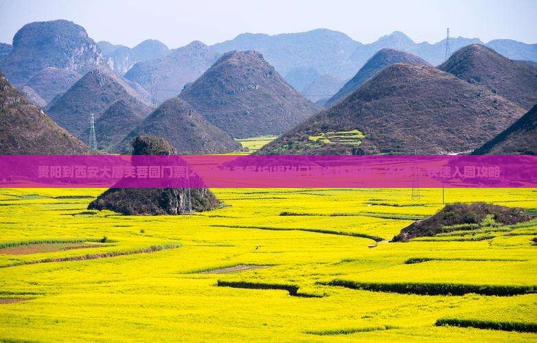 贵阳到西安大唐芙蓉园门票