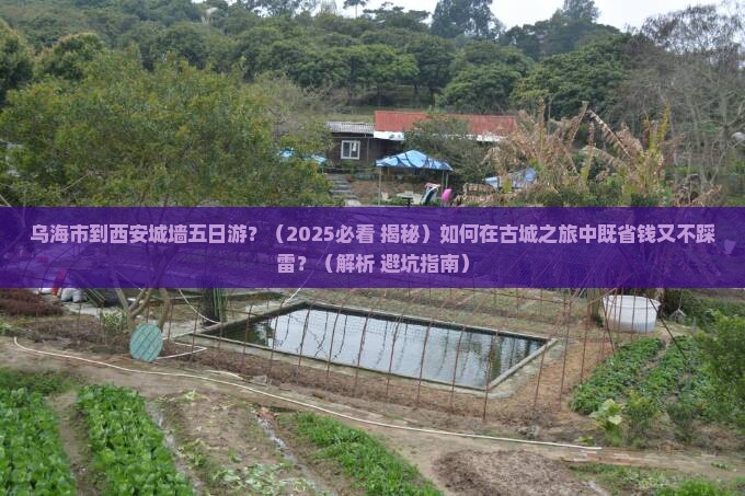 乌海市到西安城墙五日游