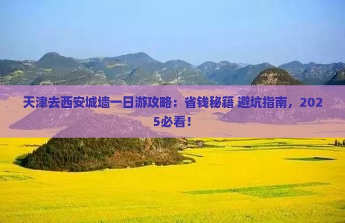 天津去西安城墙一日游