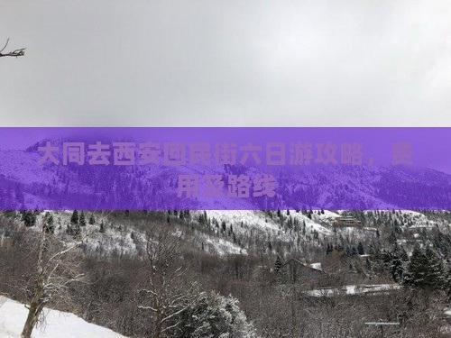大同去西安回民街六日游