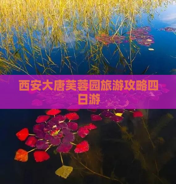 北京去西安大唐芙蓉园四日游