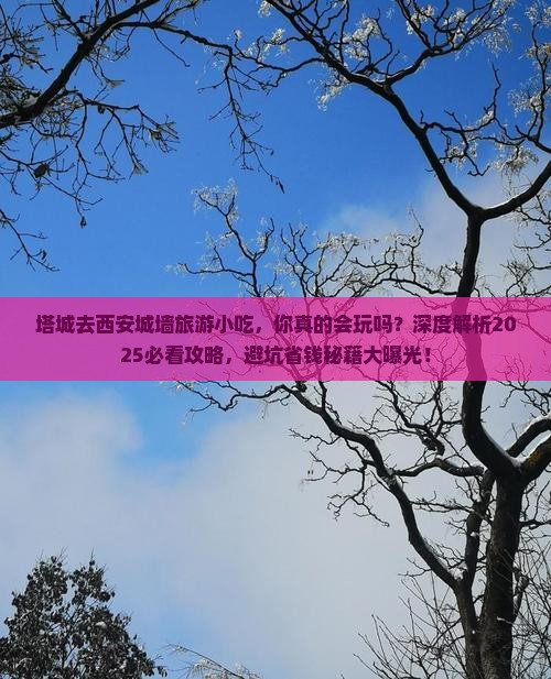 塔城去西安城墙旅游小吃