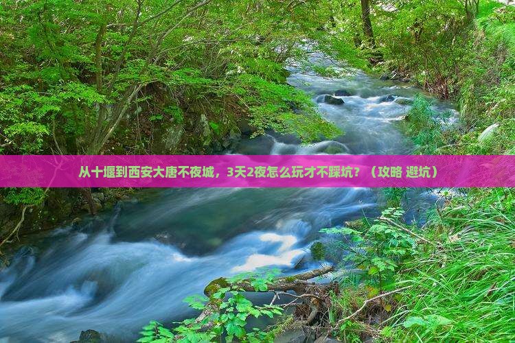 十堰去西安大唐不夜城个人游