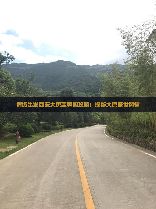 诸城去西安大唐芙蓉园景点