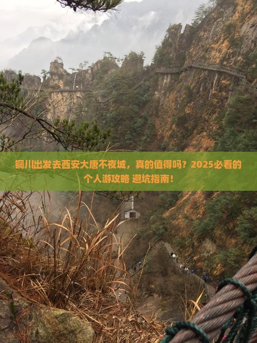 铜川去西安大唐不夜城个人游