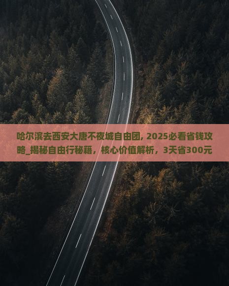 哈尔滨去西安大唐不夜城自由团