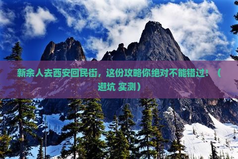 新余去西安回民街景点
