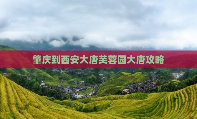 肇庆到西安大唐芙蓉园旅行社