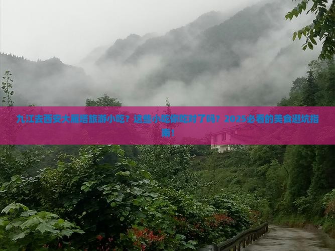 九江去西安大雁塔旅游小吃