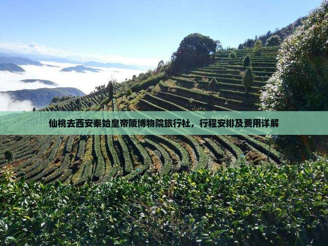 仙桃去西安秦始皇帝陵博物院旅行社