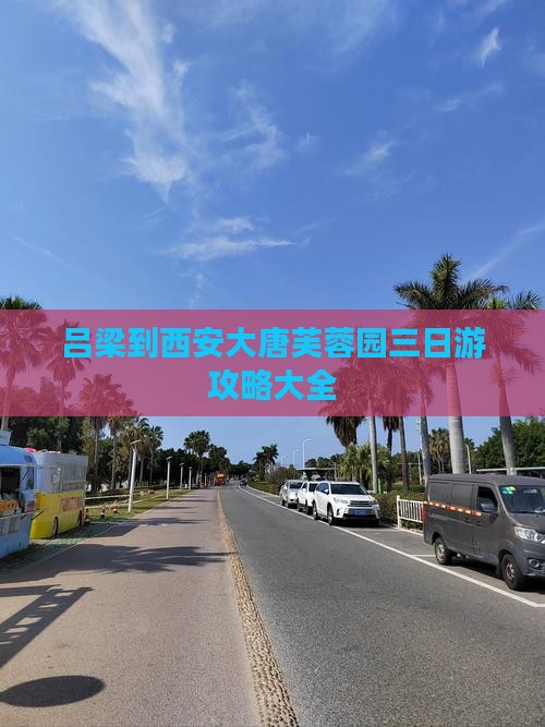 吕梁到西安大唐芙蓉园三日游
