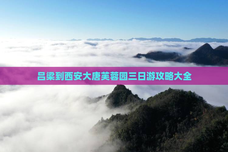吕梁到西安大唐芙蓉园三日游
