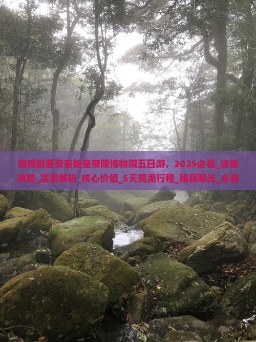 临猗到西安秦始皇帝陵博物院五日游