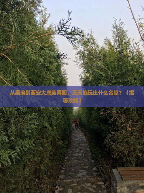 果洛到西安大唐芙蓉园五日游