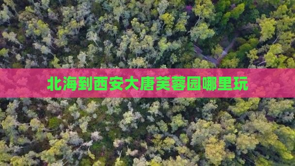 北海到西安大唐芙蓉园哪里玩