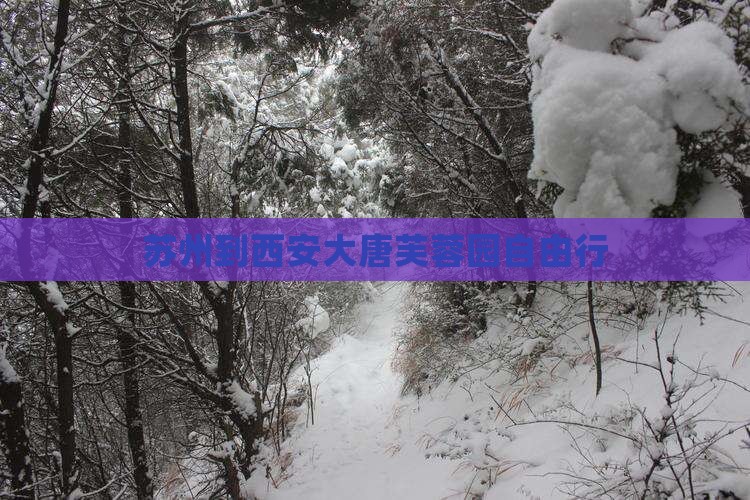 苏州到西安大唐芙蓉园自由行