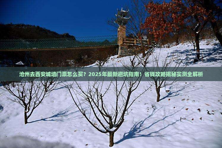 沧州去西安城墙门票