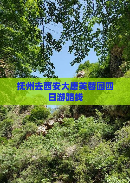抚州去西安大唐芙蓉园四日游