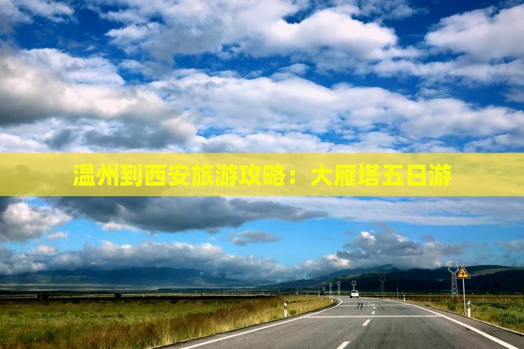 温州到西安大雁塔五日游