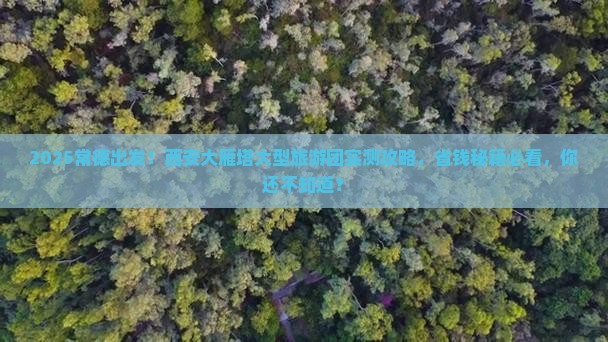 常德到西安大雁塔大型旅游团