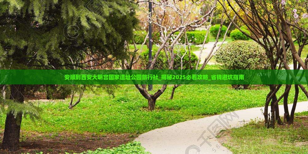 安顺到西安大明宫国家遗址公园旅行社