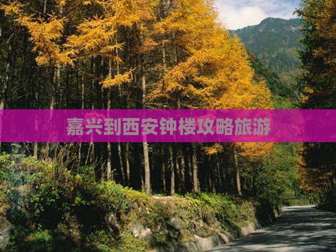 嘉兴到西安钟楼个人游