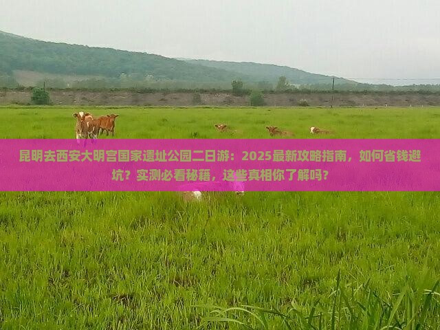 昆明去西安大明宫国家遗址公园二日游