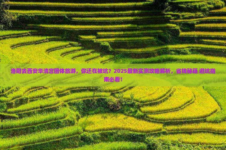 洛阳去西安华清宫团体旅游