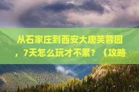 石家庄到西安大唐芙蓉园七日游