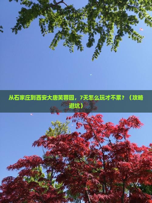 石家庄到西安大唐芙蓉园七日游