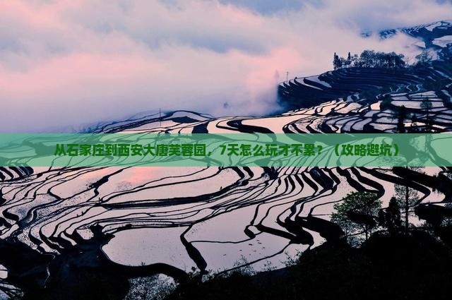 石家庄到西安大唐芙蓉园七日游