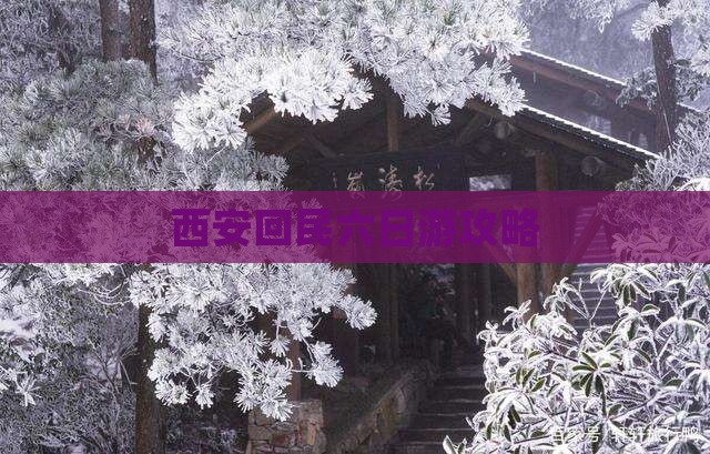 劳动节去西安回民街六日游