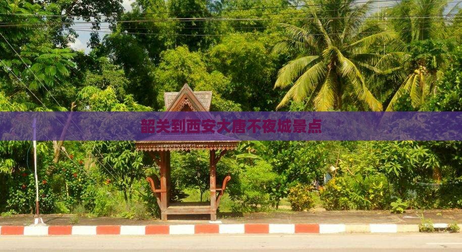 韶关到西安大唐不夜城景点