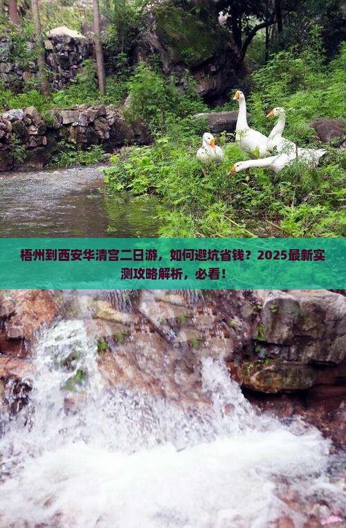 梧州到西安华清宫二日游
