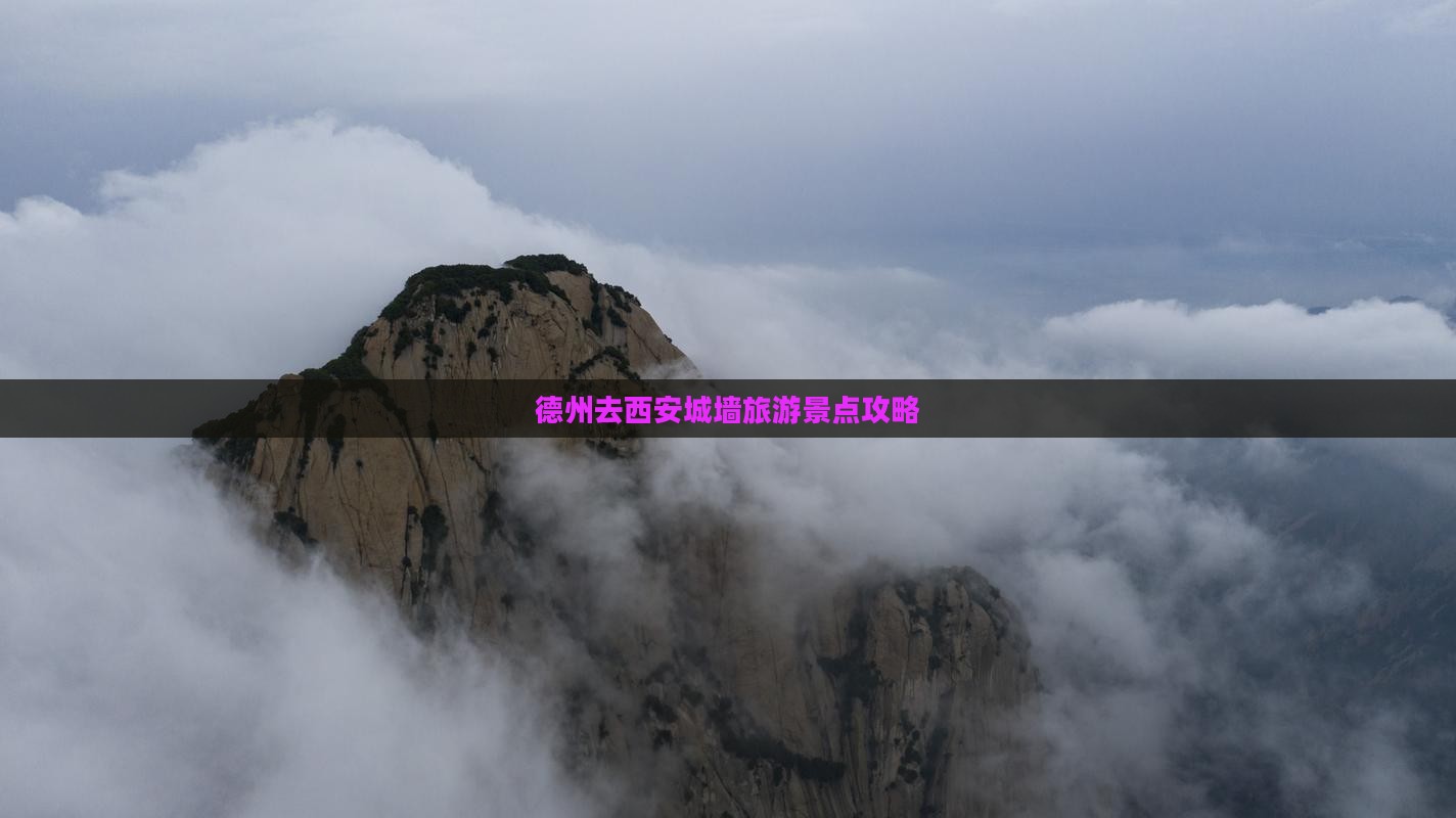 德州去西安城墙景点