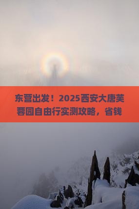 东营到西安大唐芙蓉园自由行