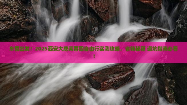 东营到西安大唐芙蓉园自由行