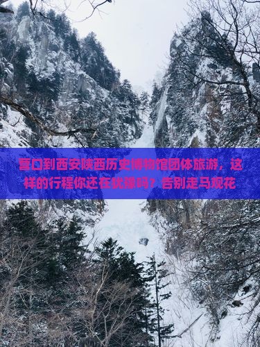 营口到西安陕西历史博物馆团体旅游