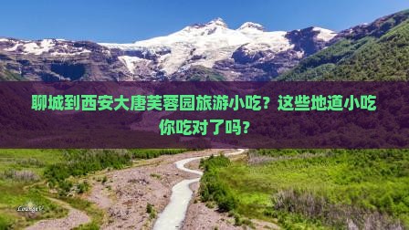 聊城到西安大唐芙蓉园旅游小吃