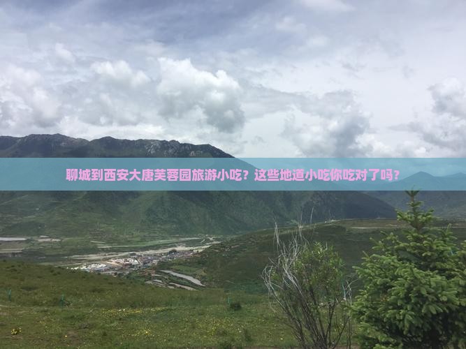 聊城到西安大唐芙蓉园旅游小吃